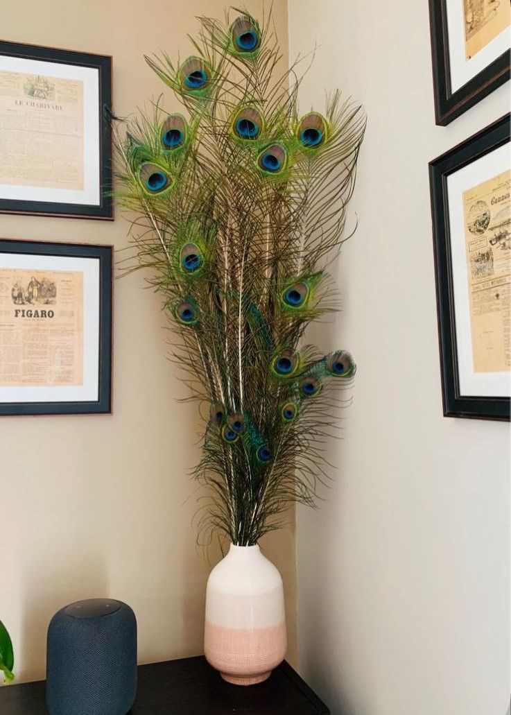 Peacock Feathers Sticks