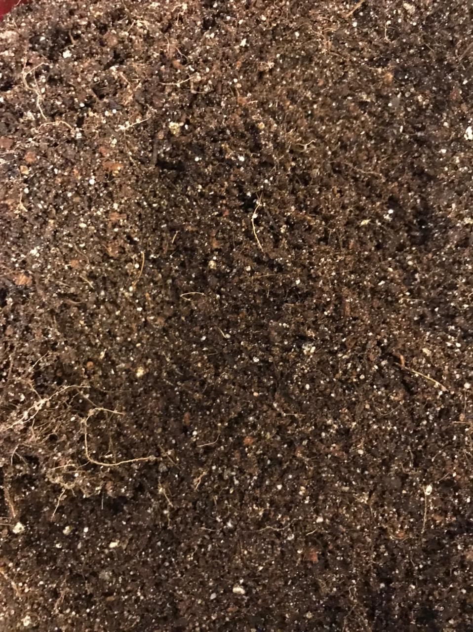 Petmos Soil