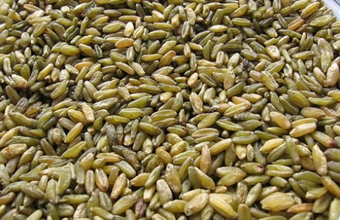 فريكة