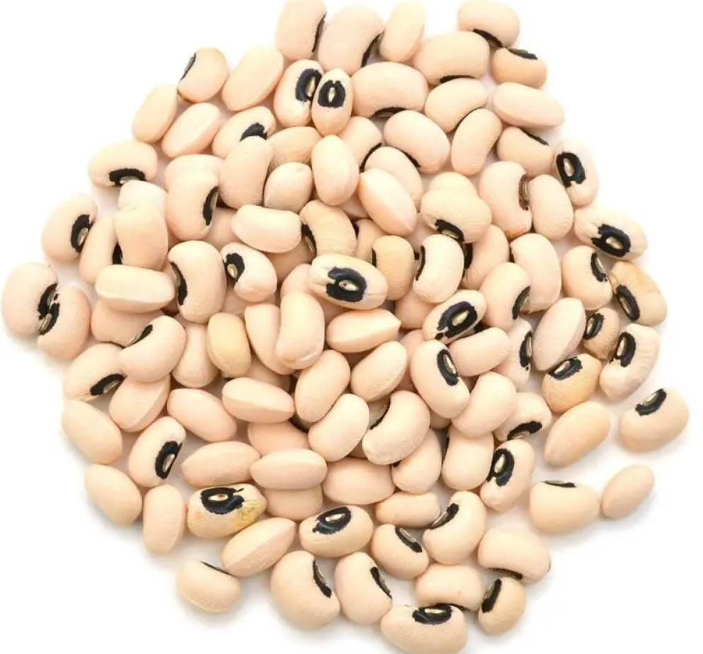 لوبياء نيئة