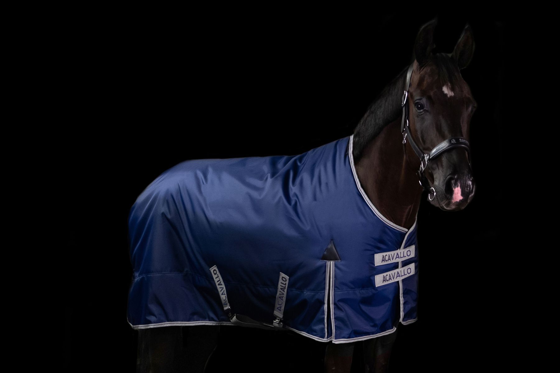 STABLE RUGS equitalento